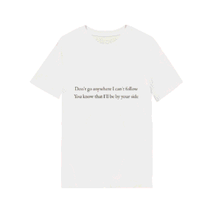 Camisa – Taylor Swift